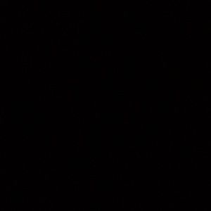 Meet your Posher, Monique